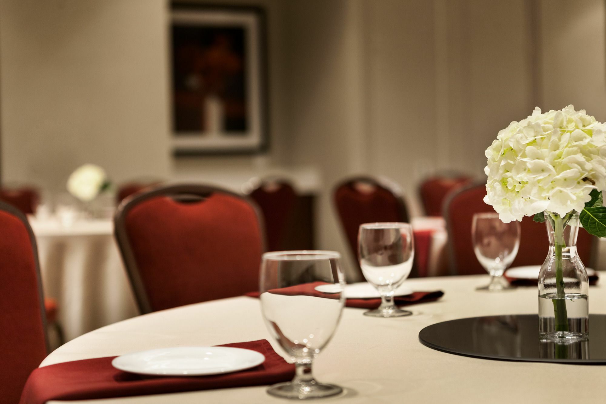 Hilton Garden Inn Charlotte Southpark Exterior photo